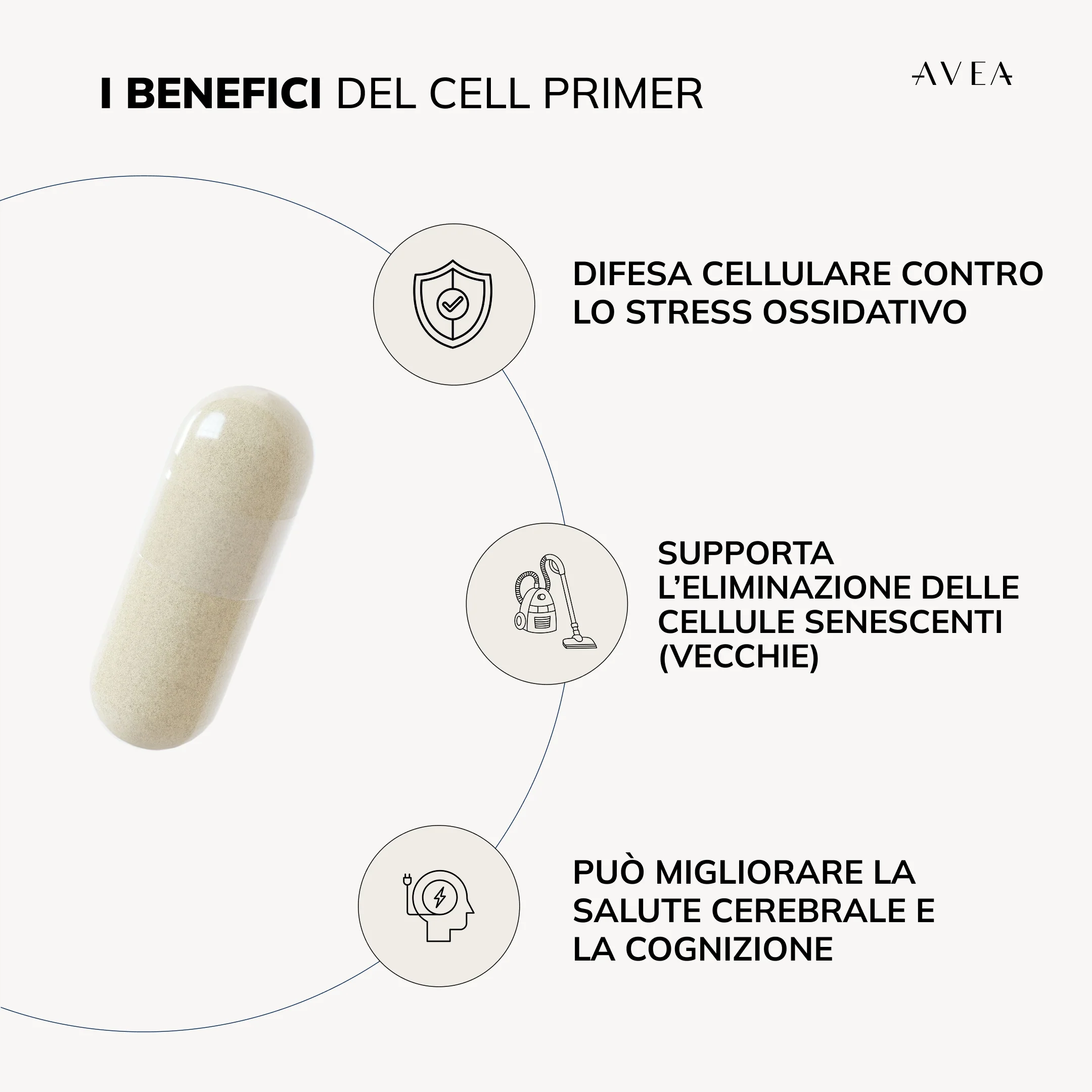 Cell Primer - Image 9