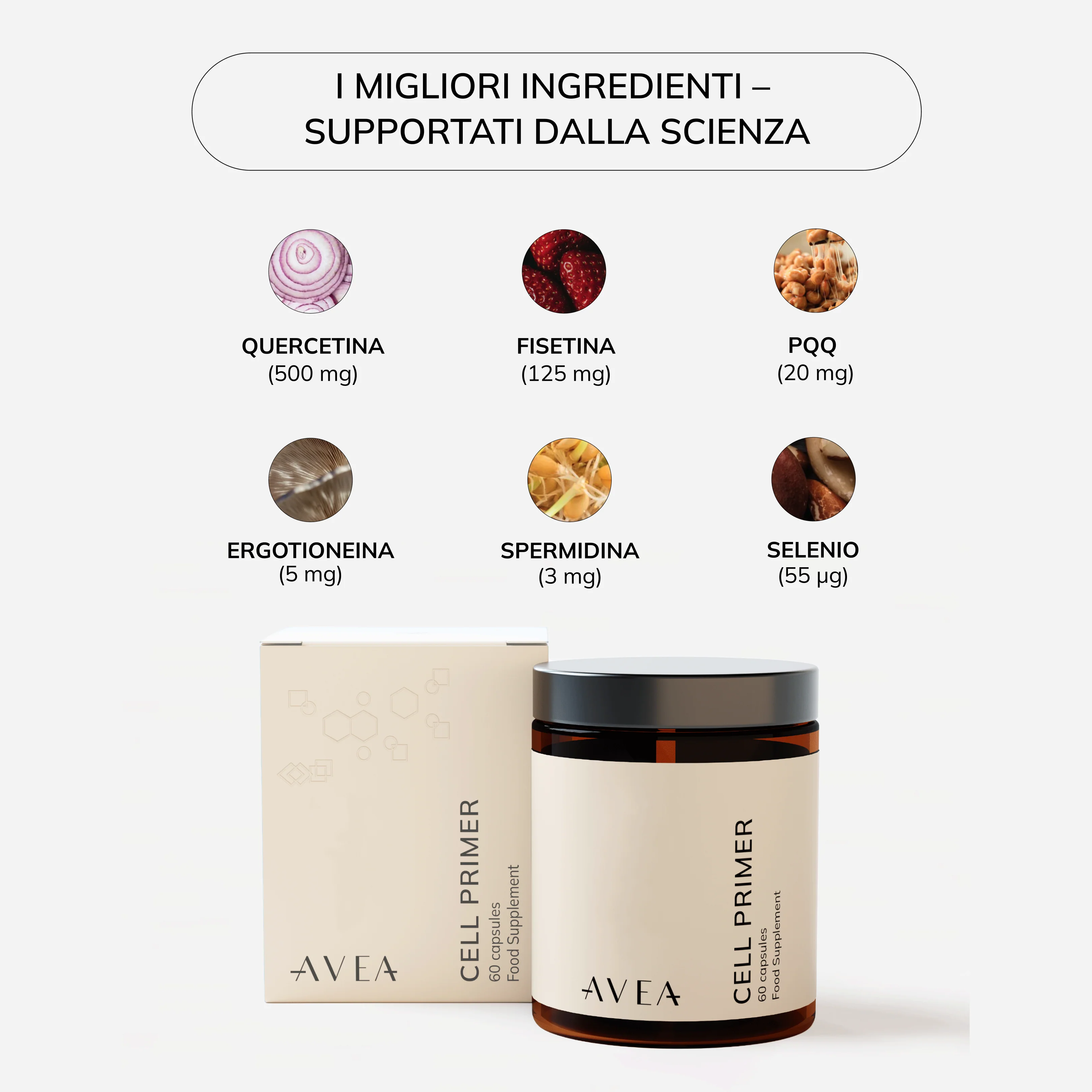 Cell Primer - Image 17