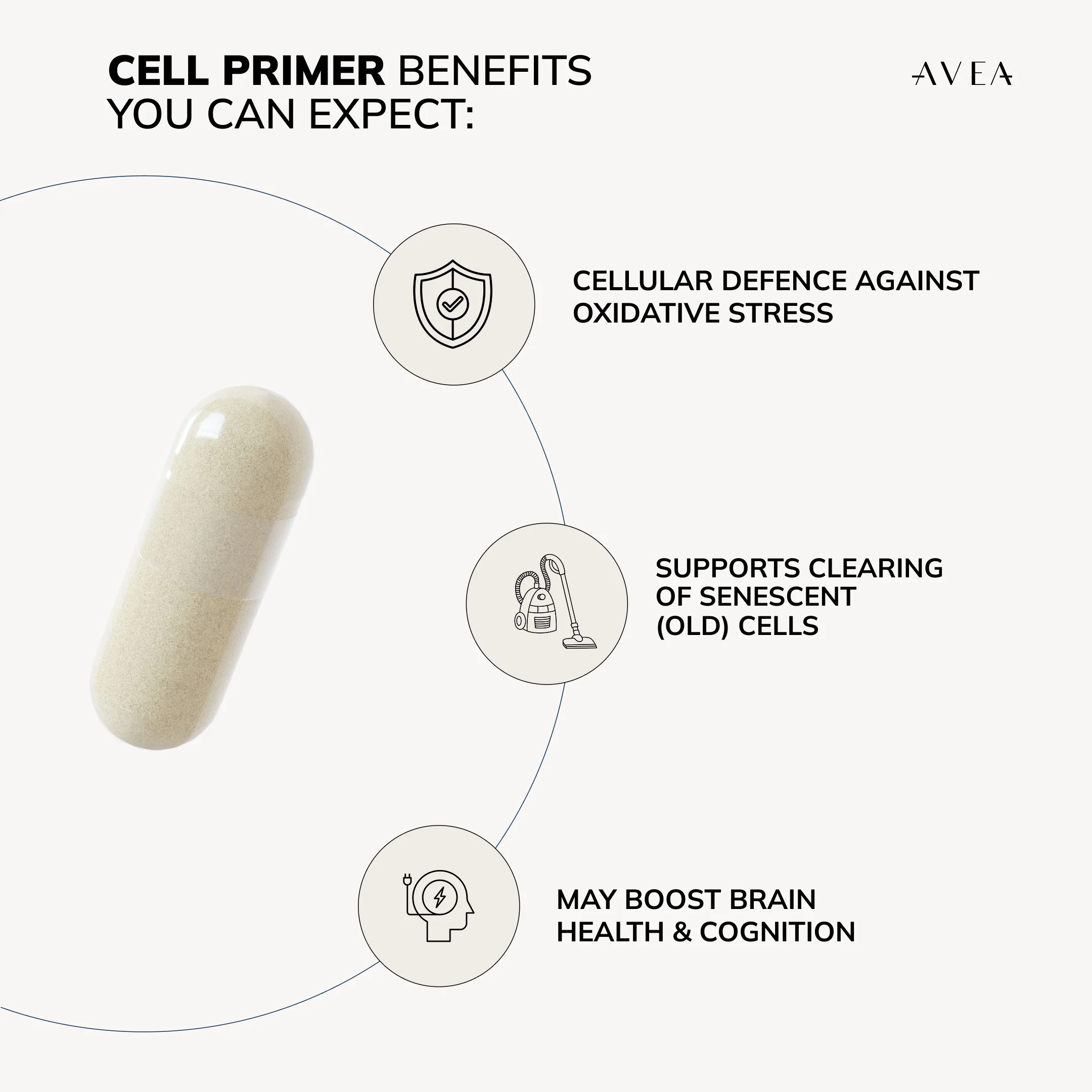 Cell Primer - Image 6