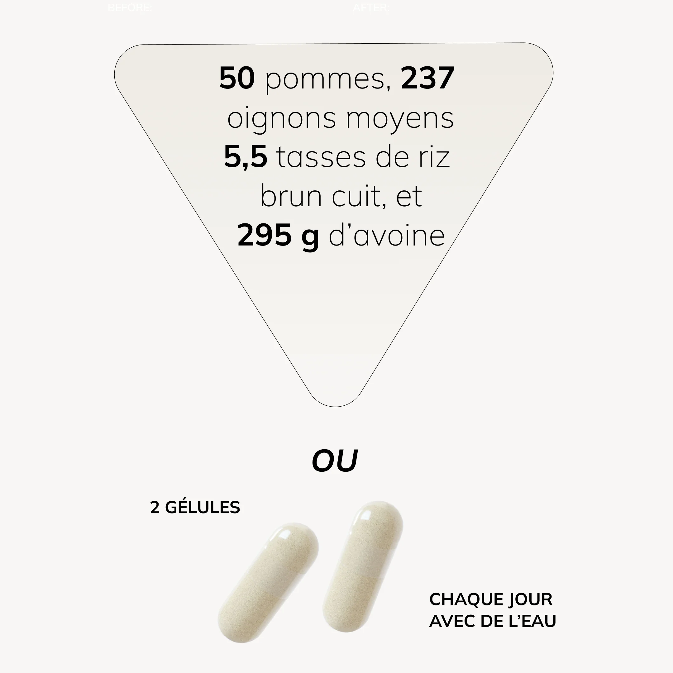 Cell Primer - Image 12