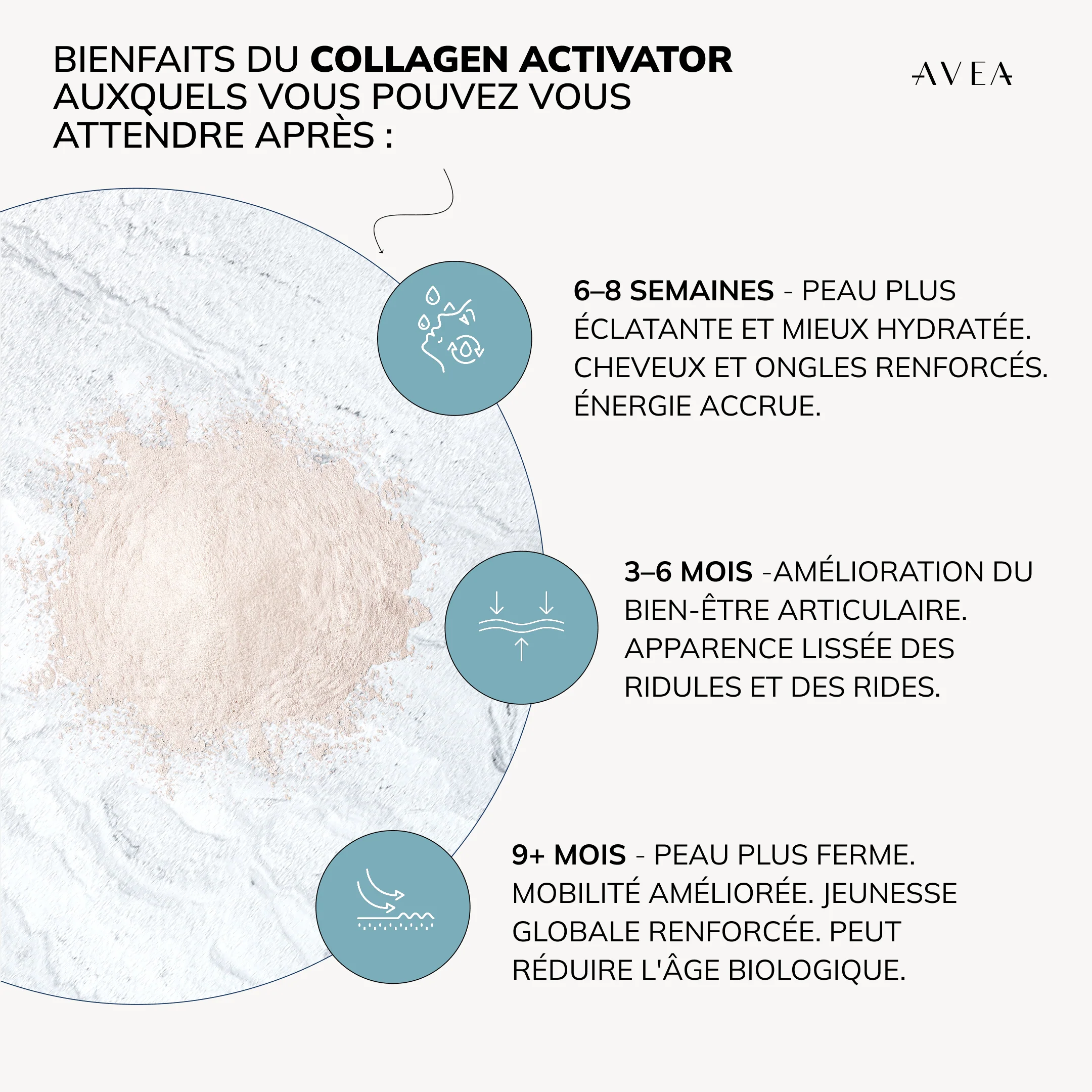 Longevity Bundle - Image 32