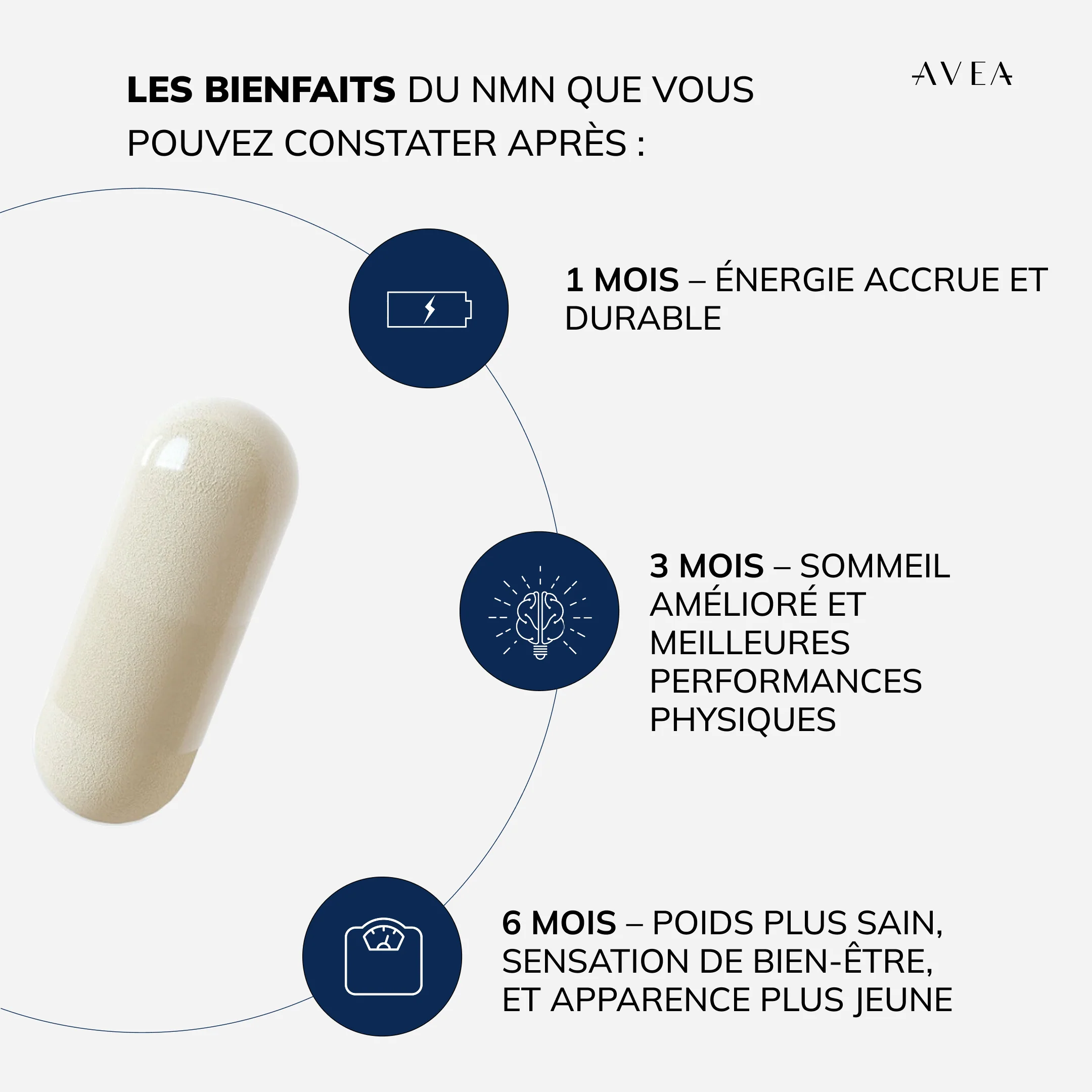 Longevity Bundle - Image 7