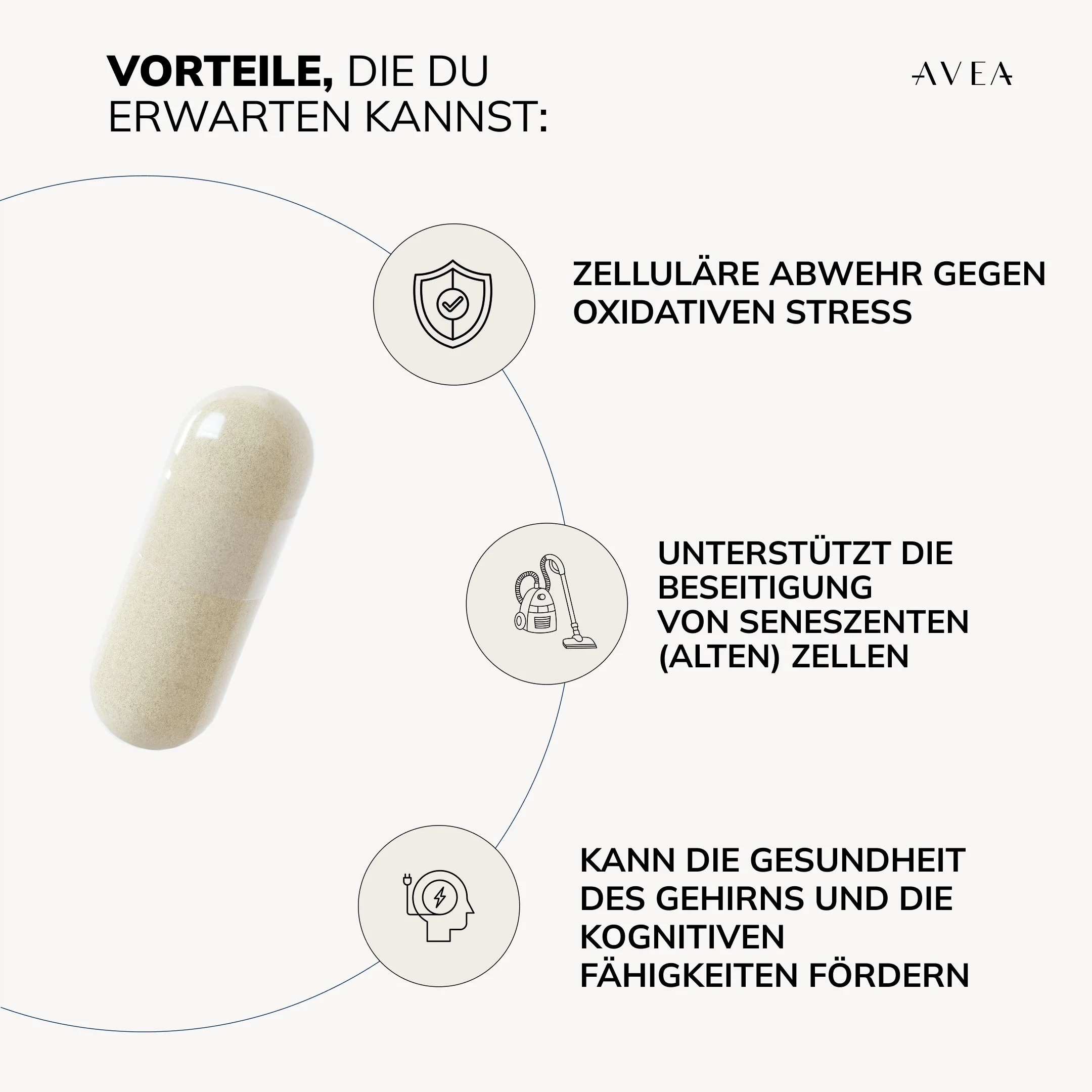 Cell Primer - Image 7