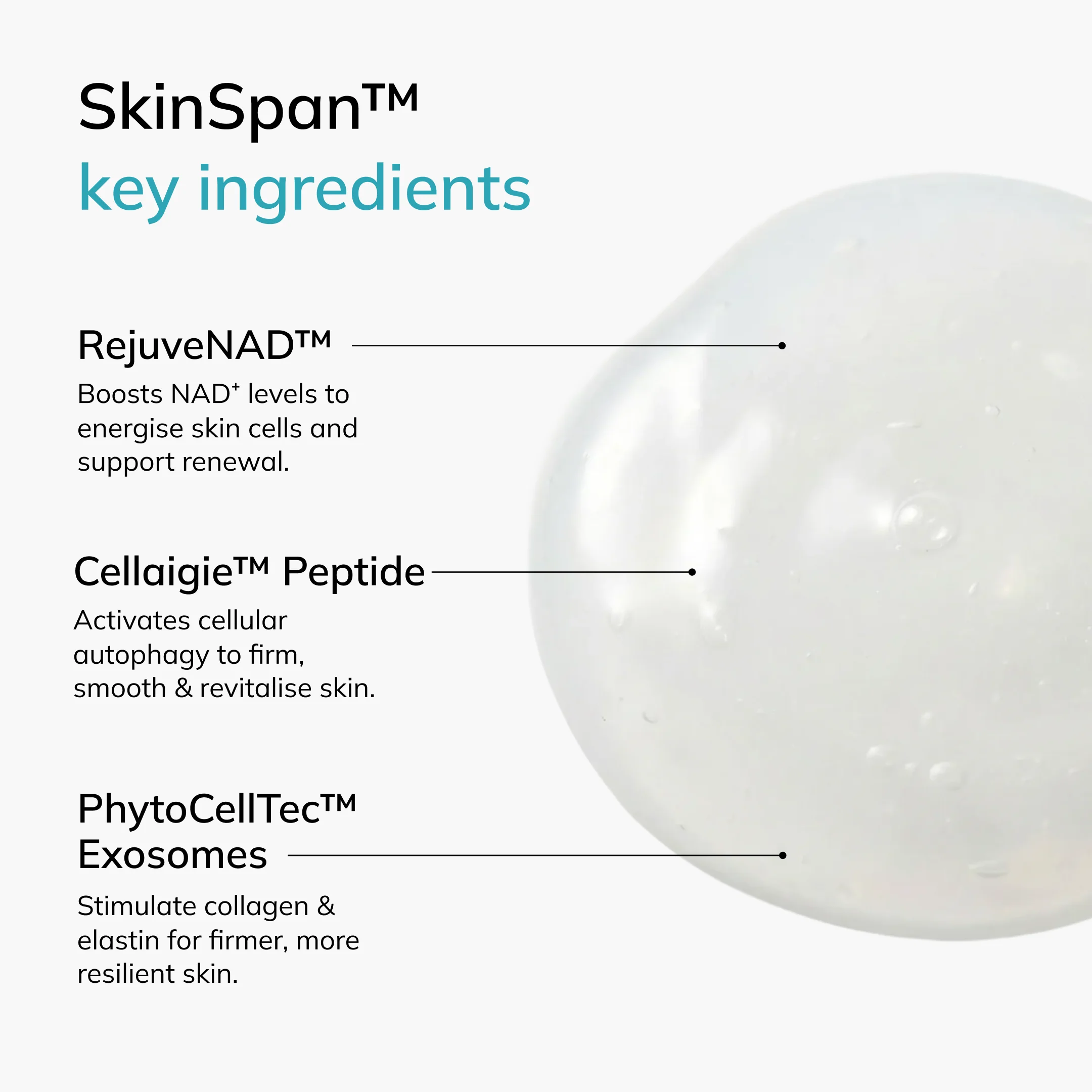 SkinSpan™ Serum M - Image 14