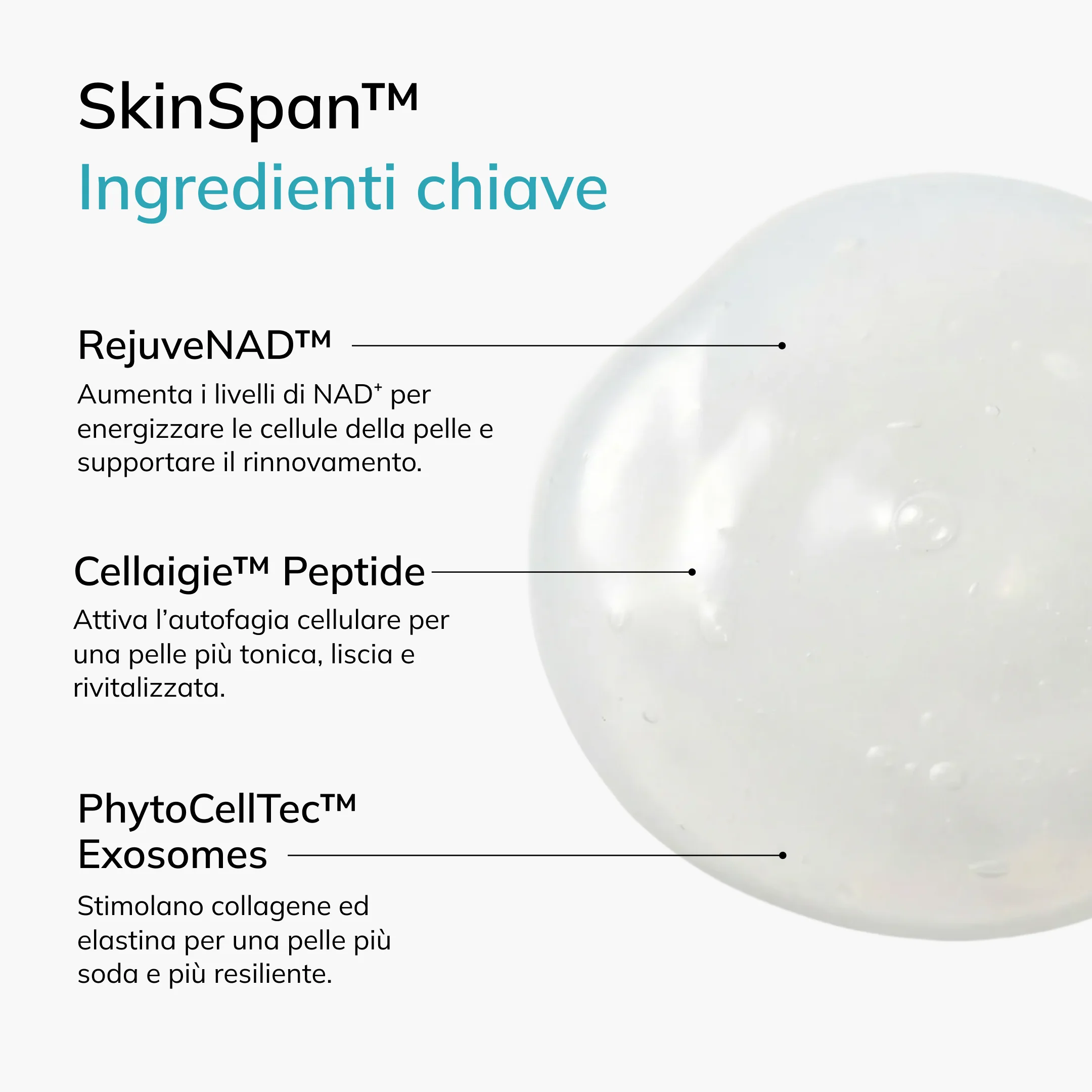 SkinSpan™ Serum M - Image 15